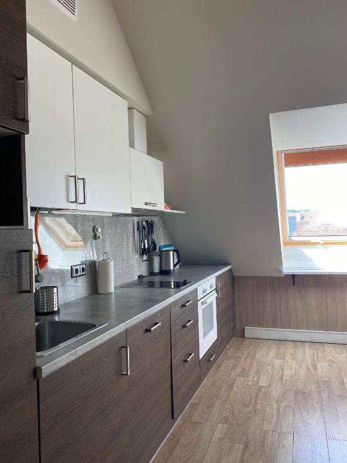 Old Town View Apartment 维尔纽斯 外观 照片