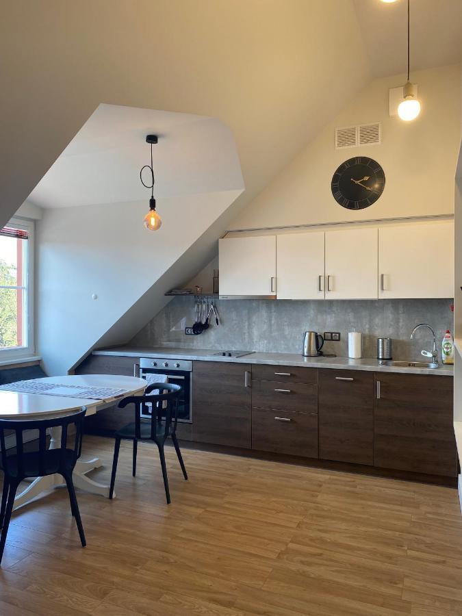 Old Town View Apartment 维尔纽斯 外观 照片