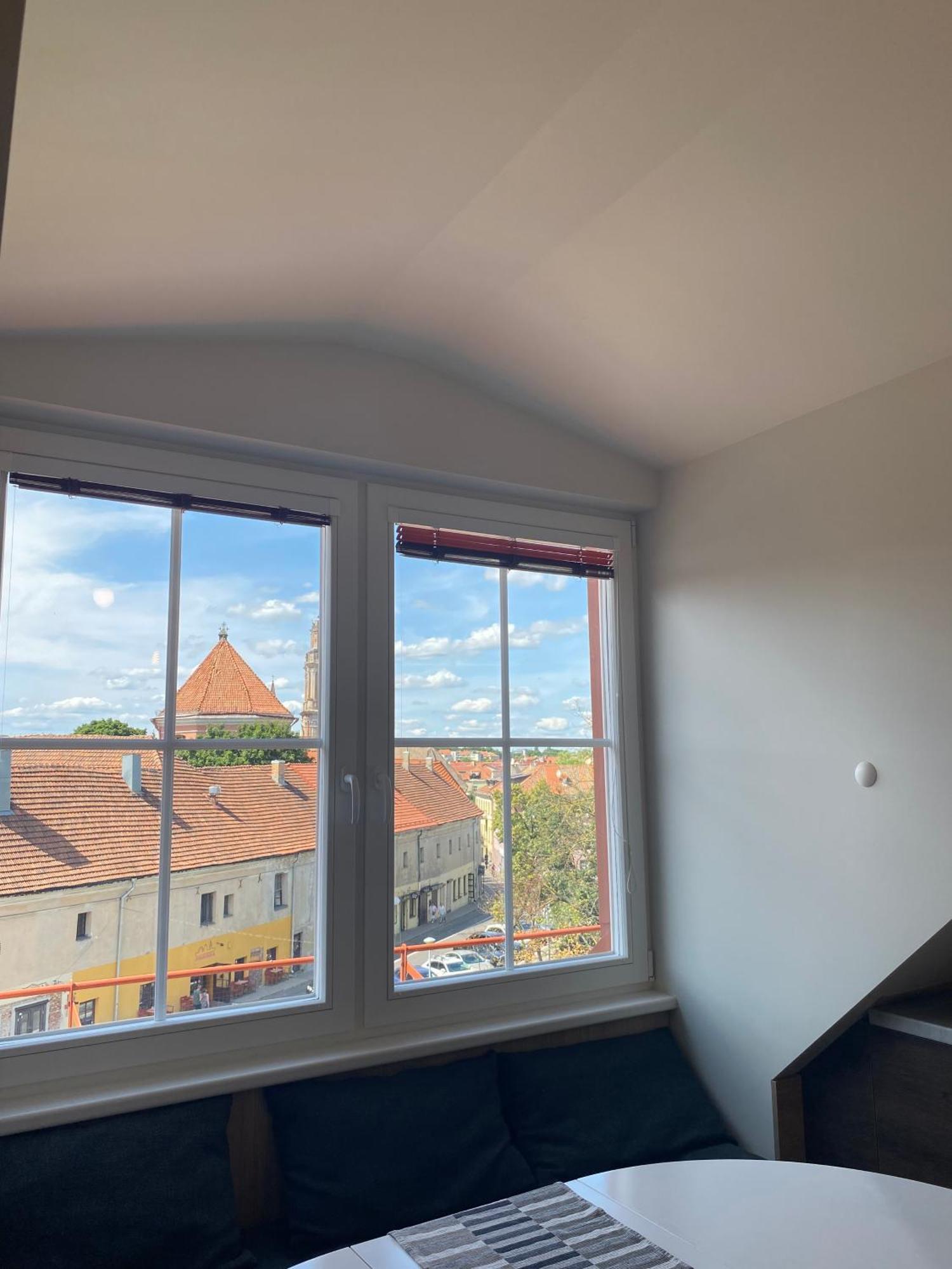Old Town View Apartment 维尔纽斯 外观 照片