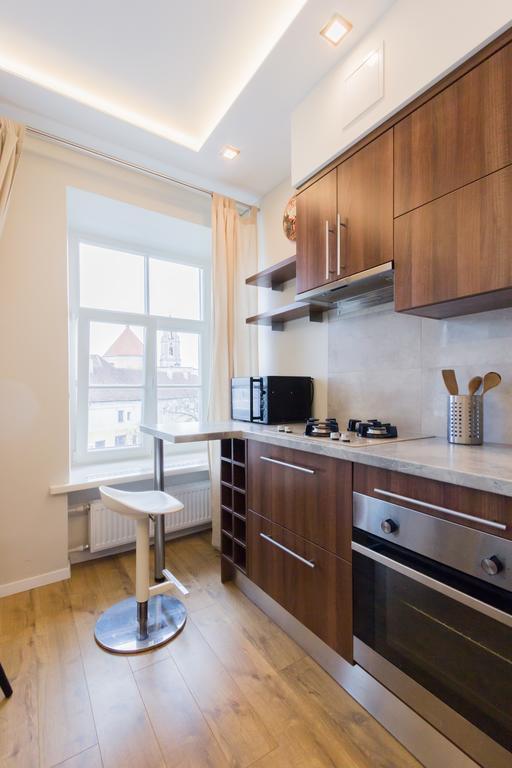 Old Town View Apartment 维尔纽斯 外观 照片